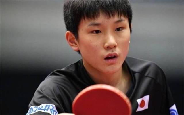 竞技表现 竞技表现